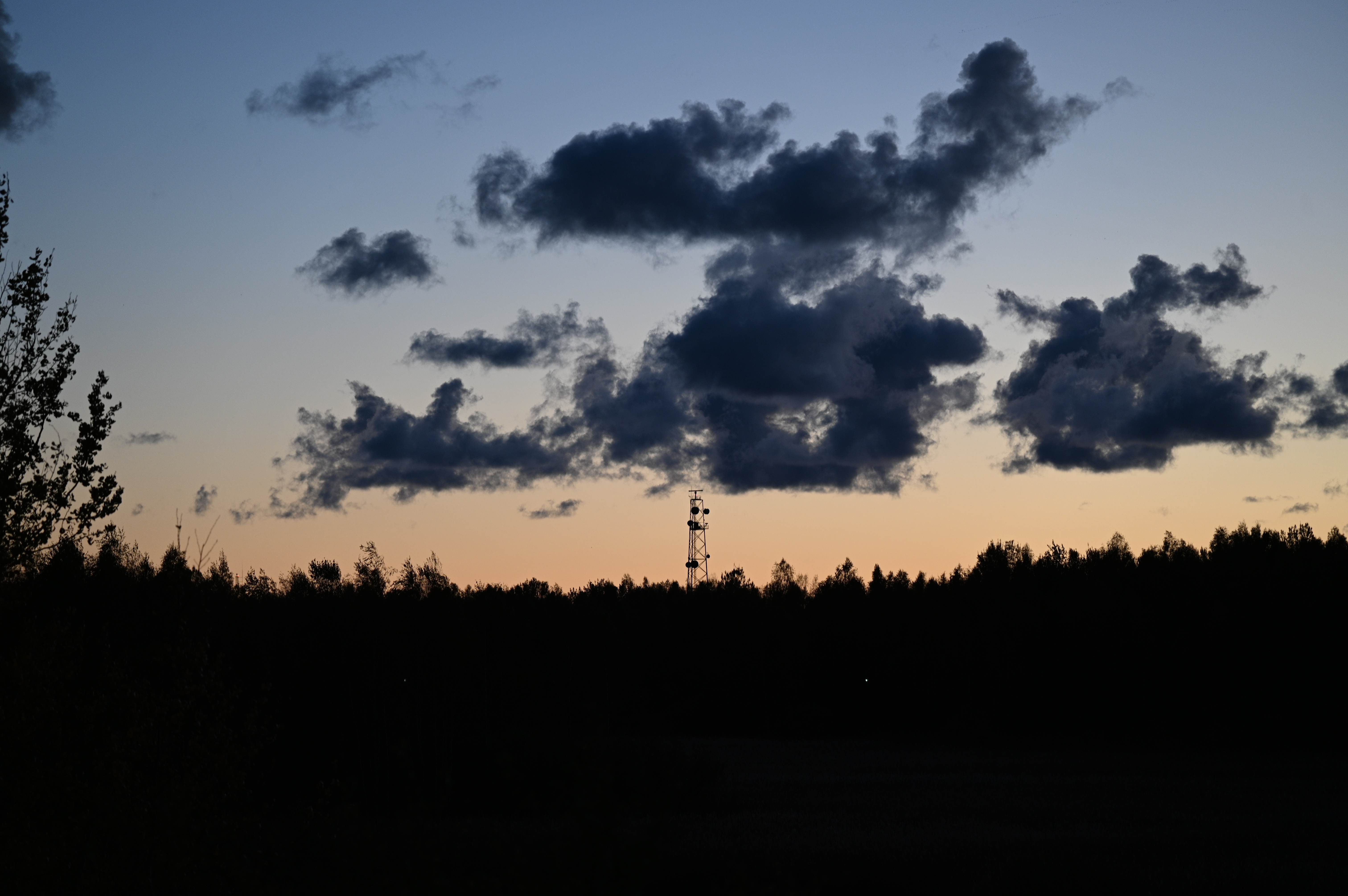 2025/10/18 - walk/DSC_0627.JPG